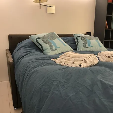 威尼斯迪乐公寓 公寓 威尼斯